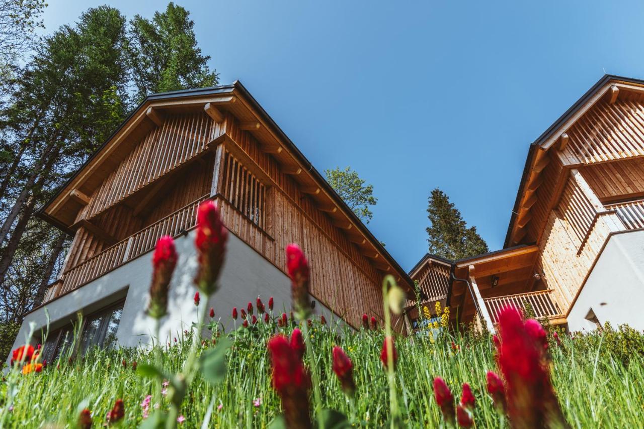 Montestyria Chalets&Suiten Mariazell Extérieur photo