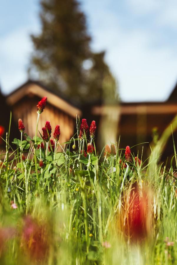 Montestyria Chalets&Suiten Mariazell Extérieur photo
